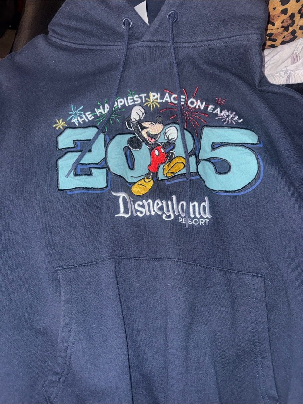 Disney Navy Hoodie with 2025 Mickey Graphic